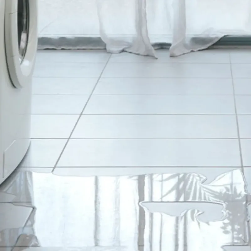 Appliance Leak Cleanup in Moyock, NC