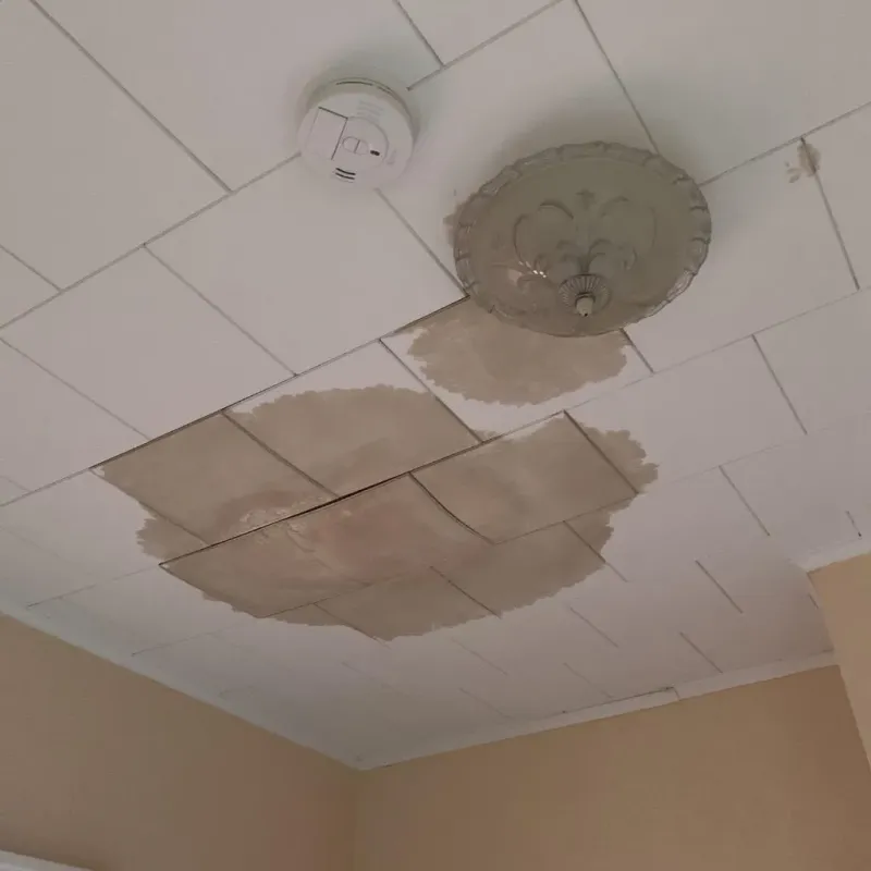 Ceiling Water Damage Repair in Moyock, NC
