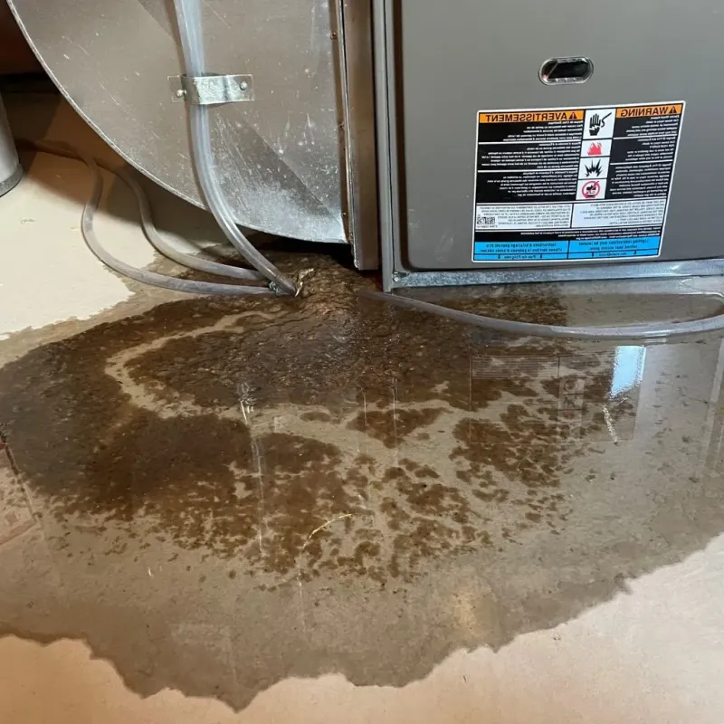 Pipe Burst and Leak Restoration in Moyock, NC